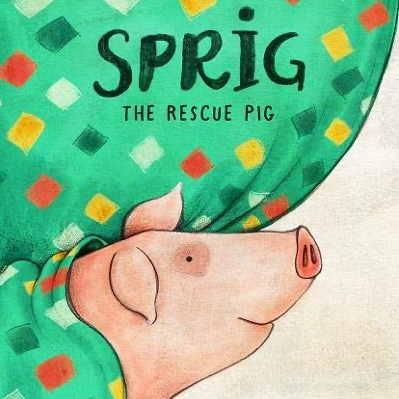 Sprig The Rescue Pig